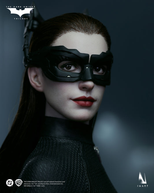 INART Catwoman (The Dark Knight Rises) 1/6 Collectible Figure