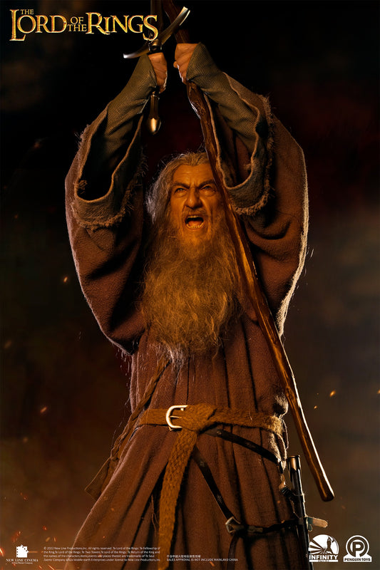 IFM0022A Infinity Studio Gandalf The Grey (The Lord of the Rings) (Premium Version) 1/2 Scale Statue
